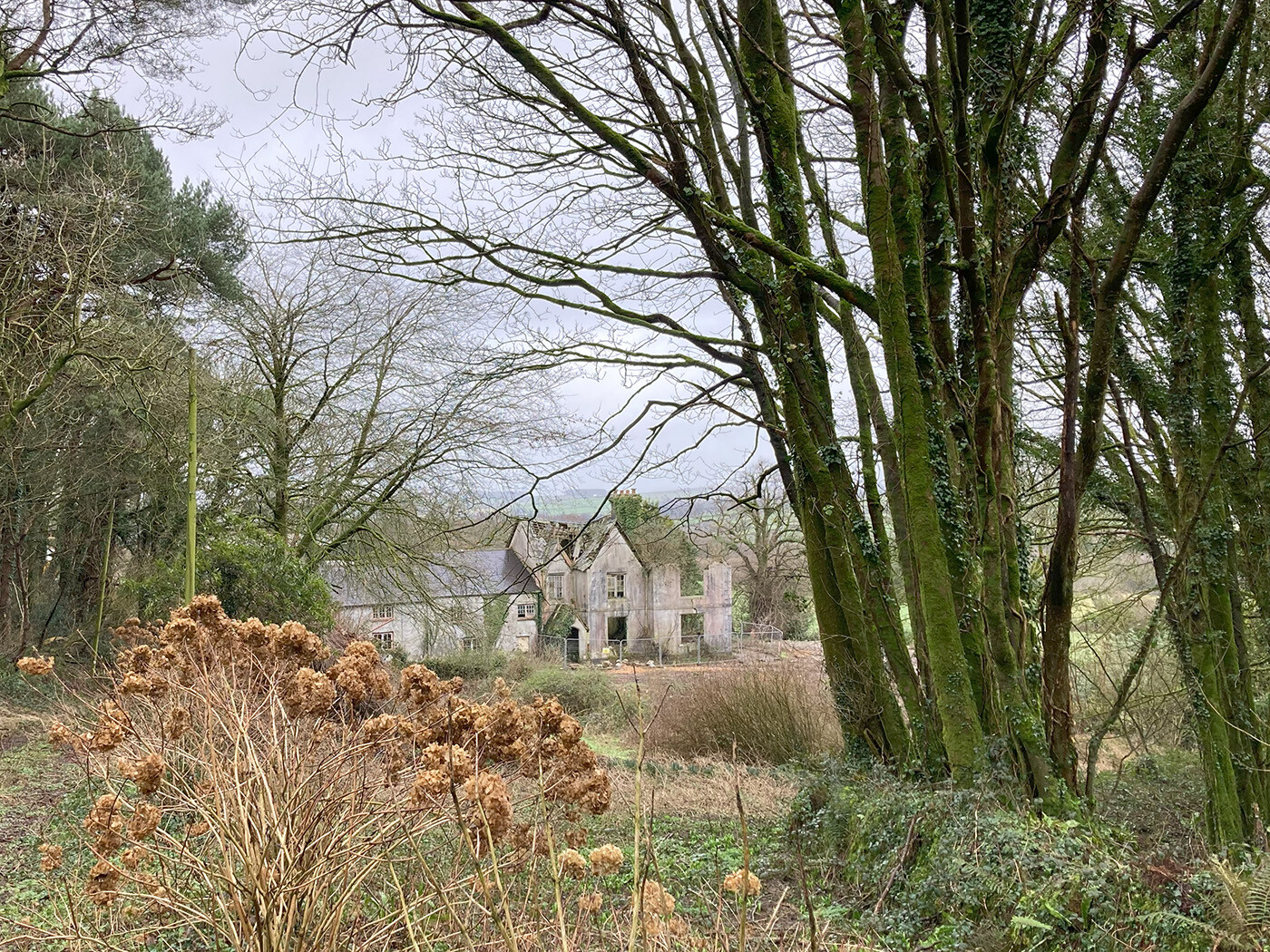 Bicton Manor, Pensilva, Pensilva
